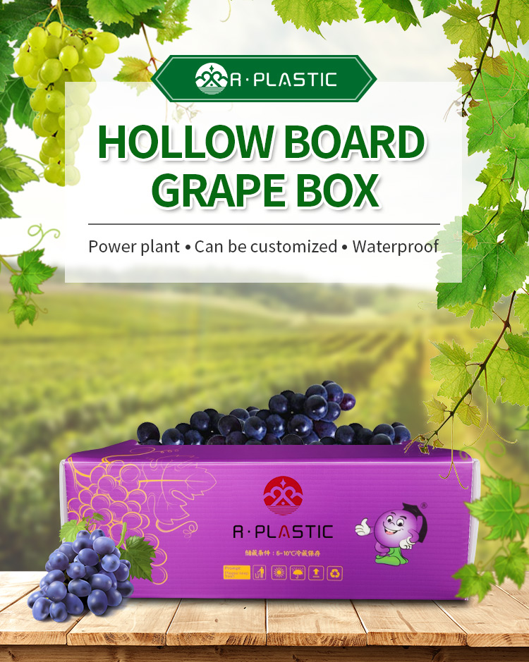 Best Fresh grapes cold chain transport box Grape factory turnover box ...